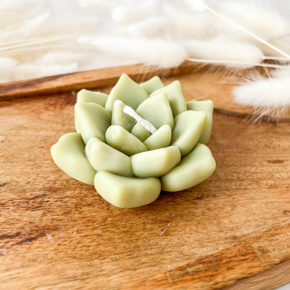 Lumânare parfumată, ceară vegetală, plantă suculentă, diverse culori
