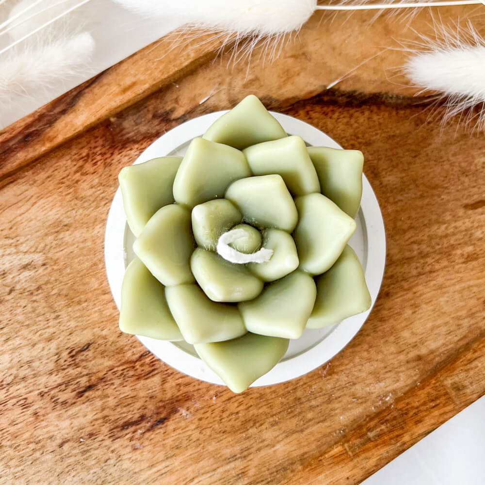 Lumânare parfumată, ceară vegetală, plantă suculentă, diverse culori