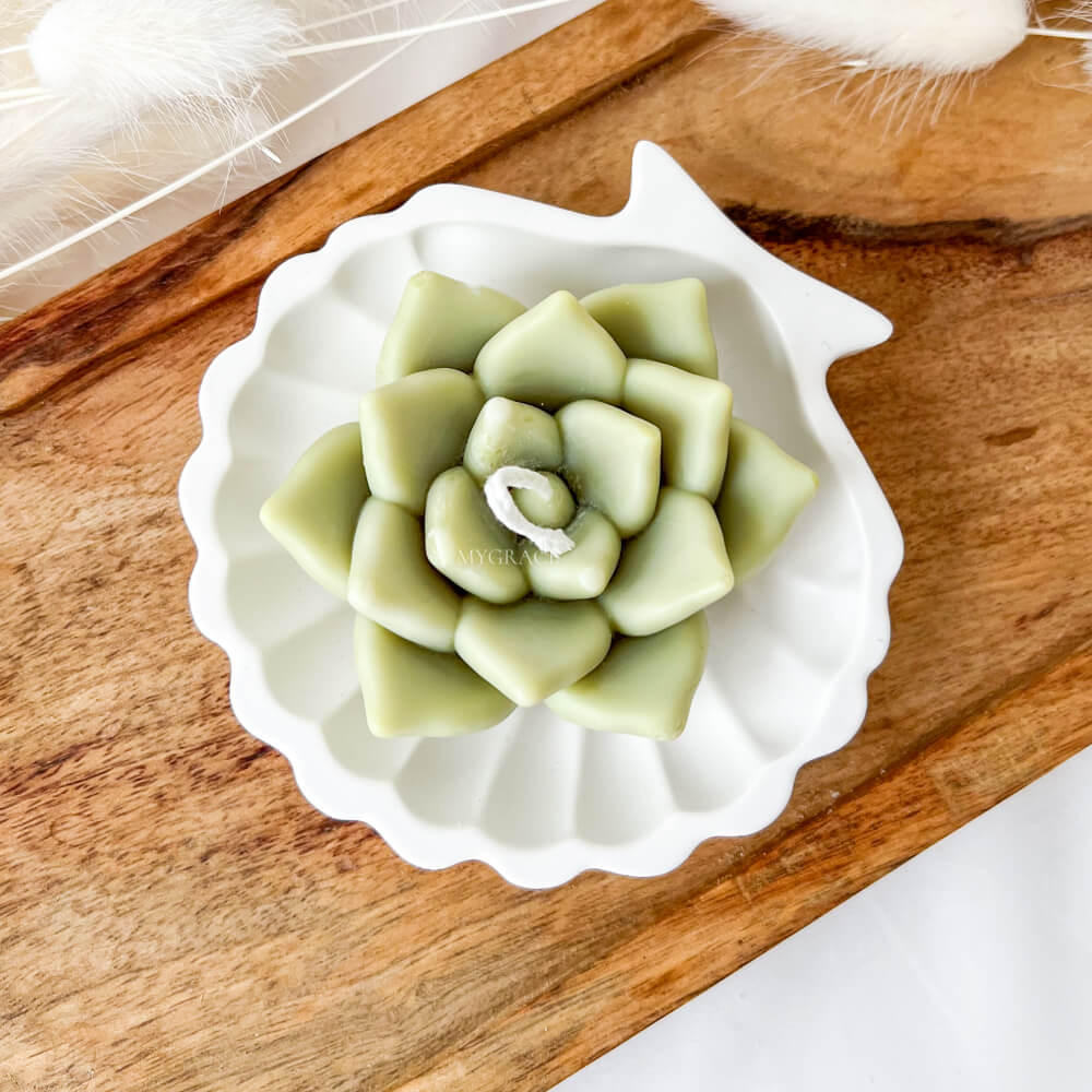 Lumânare parfumată, ceară vegetală, plantă suculentă, diverse culori