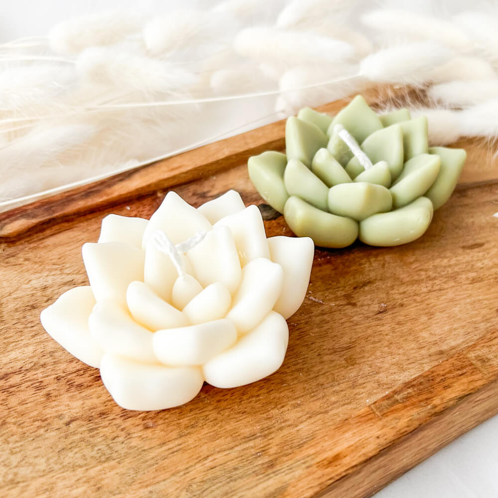 Lumânare parfumată, ceară vegetală, plantă suculentă, diverse culori