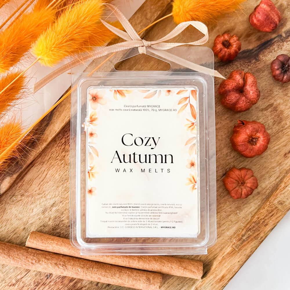 Ceară parfumată cuburi ”Cozy Autumn”, ceară naturală, 70 g