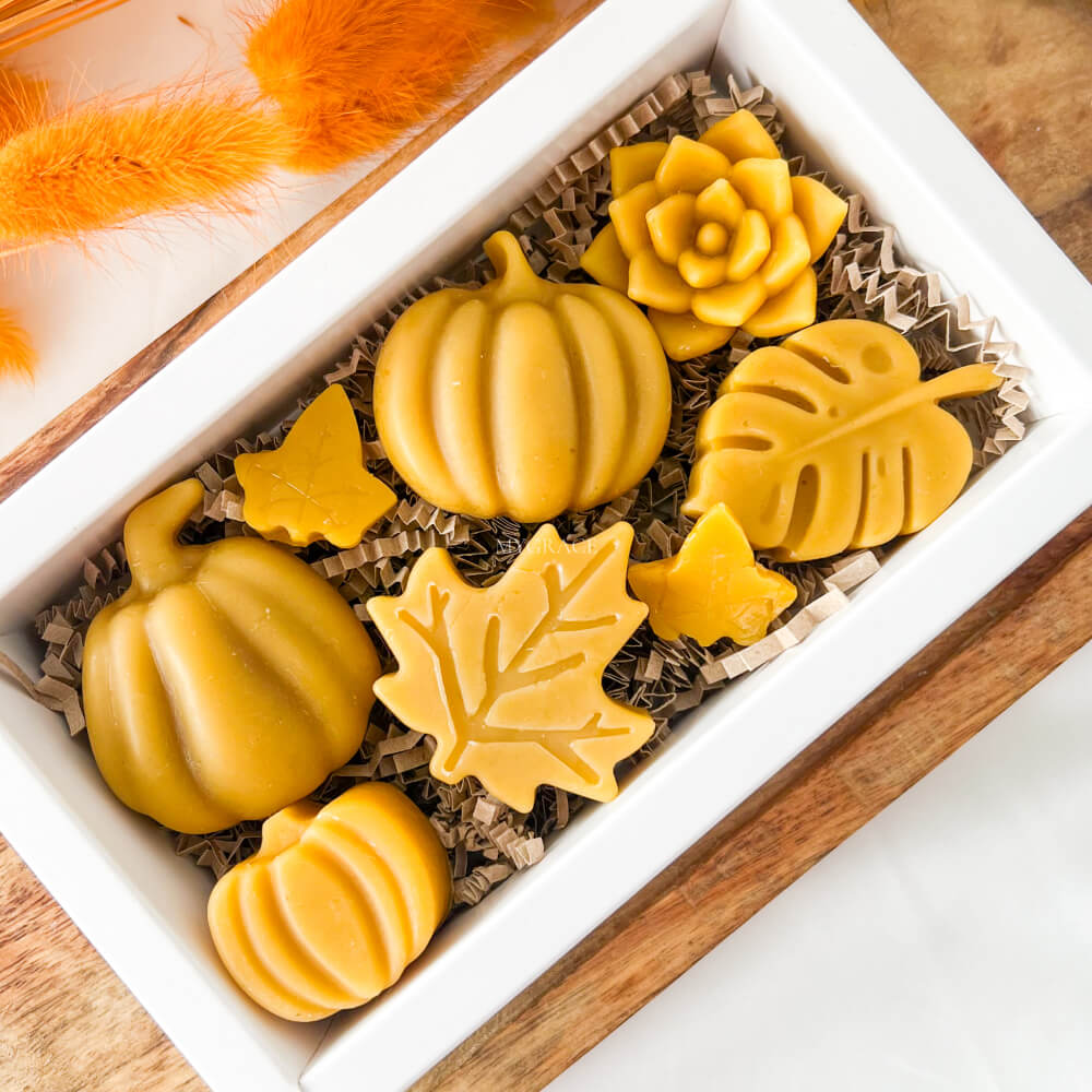 Beeswax Air-Purifying Gift Set, Natural Wax Melts, Various Figurines – Autumn Gift Set