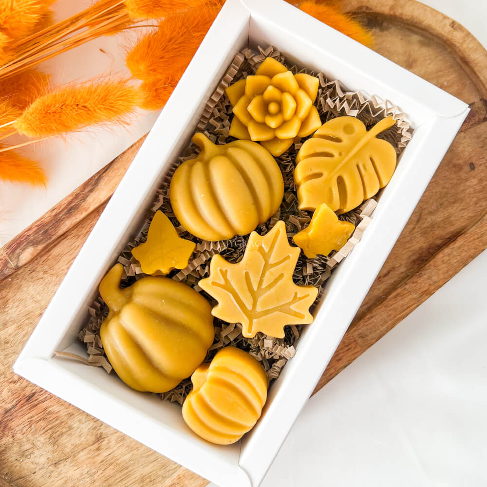 Beeswax Air-Purifying Gift Set, Natural Wax Melts, Various Figurines – Autumn Gift Set