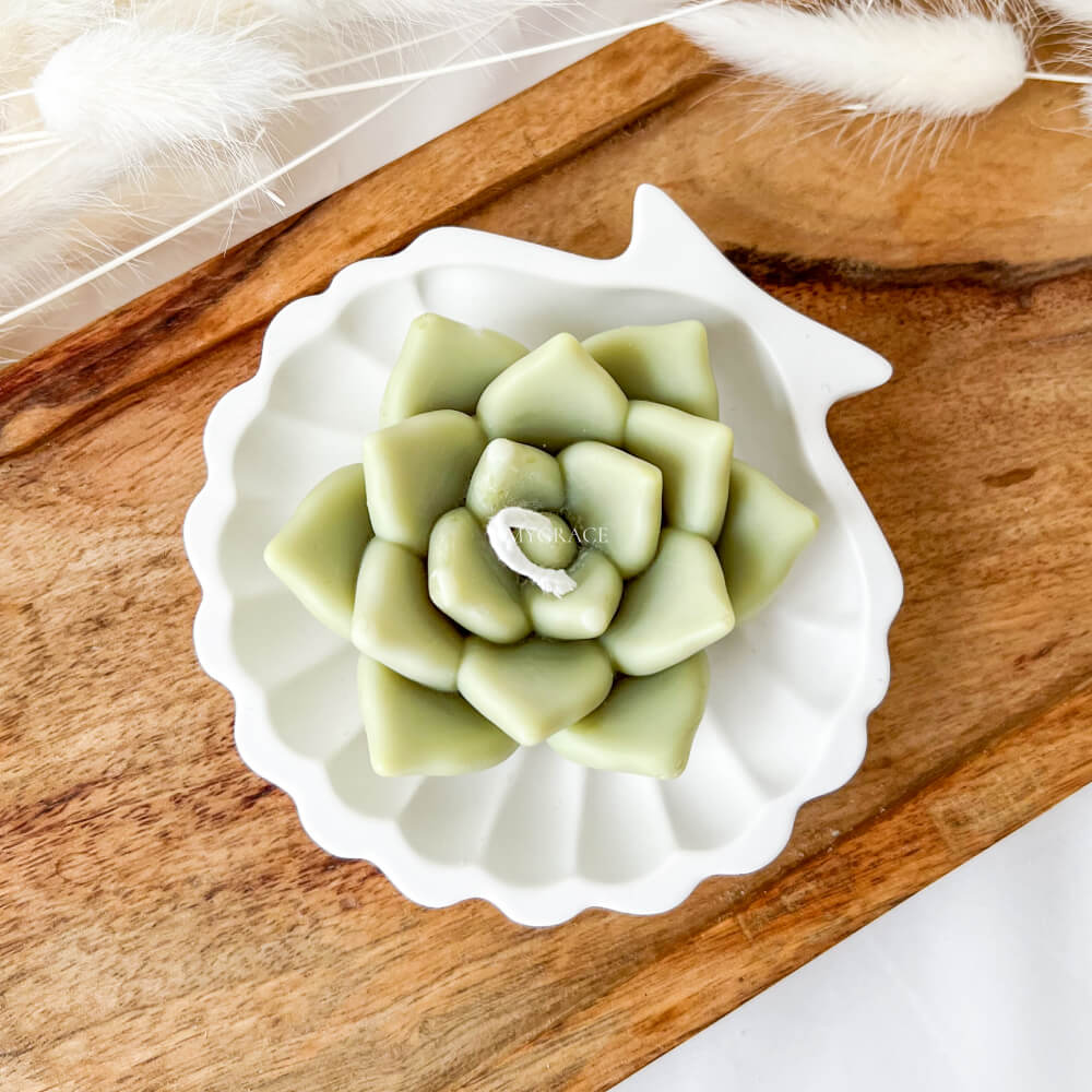 Tăviță decorativă pentru bijuterii sau lumânări, scoică, handmade